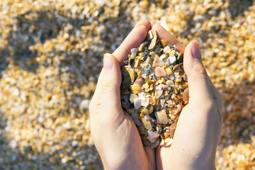 Girl's hands carrying sand and shells on the sand background