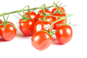 cherry tomatoes isolated