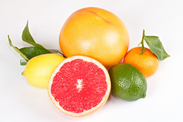 Fresh juicy grapefruits