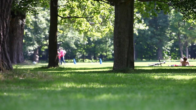 leisure summer activity and dog in a park scene