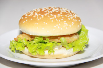 Tasty hamburger isolated on white background
