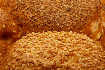 Loaf of bread and rolls isolated on white