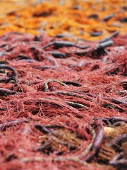 Colour fishing net on the ground