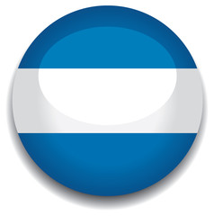 argentina flag in a button