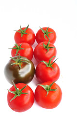 Tomato