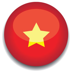 vietnam flag in a button
