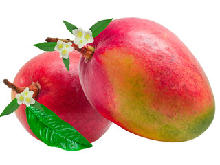 Mango isolated on white background