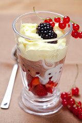 Fruit Dessert