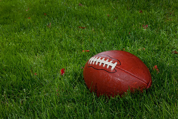 Wet football on the grass