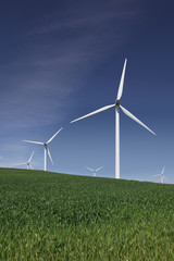 Fototapeta premium White Power Generating Wind Turbines
