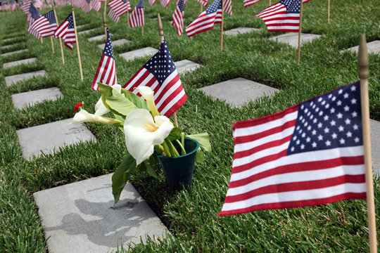 American Flags At National Cemetery