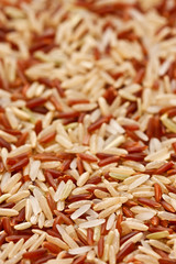 Mixed  rice grain