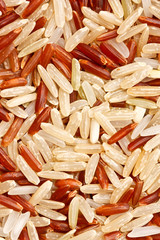 Mixed  rice grain