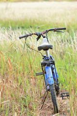 Naklejka premium Bicycle in tropical field
