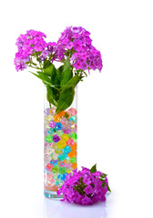 beautiful flowers in vase with hydrogel isolated on white