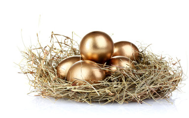 Naklejka na ściany i meble golden eggs in nest isolated on white