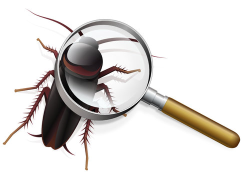 Cafard &agrave; la loupe (ombre)