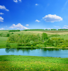 Obraz premium spring landscape