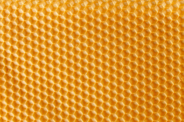fresh honey in comb