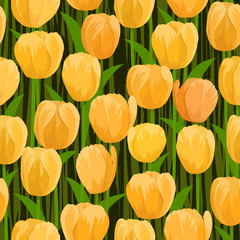 vector yellow tulip flowers field seamless background