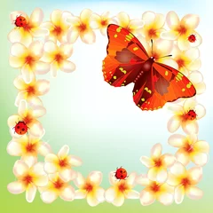 Poster Bloemen en vlinders ingelijste achtergrond © margelatu florina