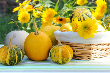 Assorted pumpkins