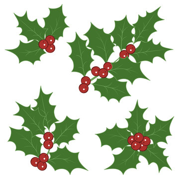 Holly sprigs for christmas decorations