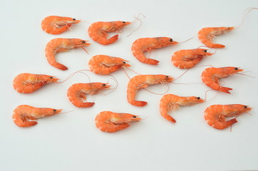 Cooked shrimps on grey background