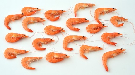 Cooked shrimps on grey background