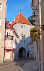Road in old Tallinn