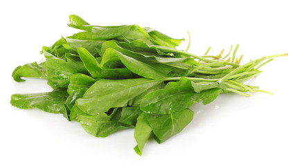 Fresh leaves of a sorrel on a white background