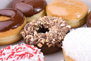 Donuts in rows