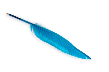 Writing feather isolated on the white background