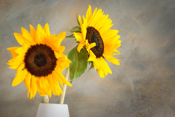 Obraz premium Sunflowers - Girasoli