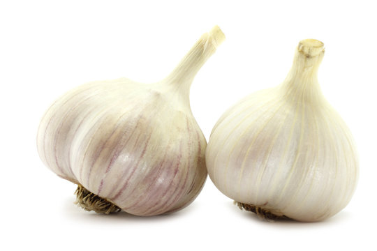 Two big garlics