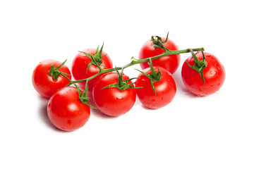 The branch of tomato.
