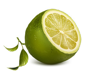 Vector fresh lime