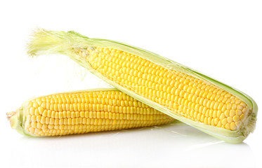 Fresh corn on white background