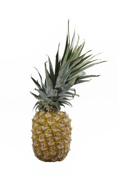 Pineapple isolated on white with a clipping map