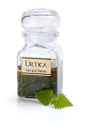 Urtica Urens plant extract
