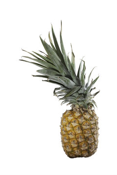 Pineapple isolated on white with a clipping map