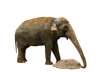 Moving stone elephant