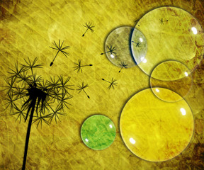 dandelion vintage