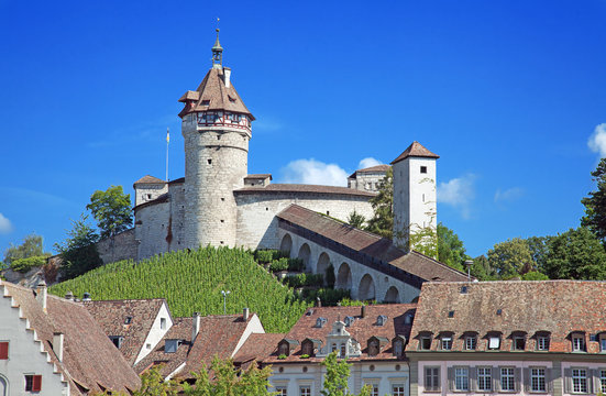 Summer in Schaffhausen