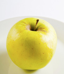 one close up of a green apple