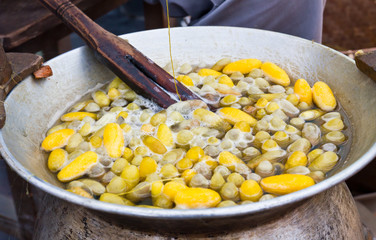 Boiling cocoon in a pot