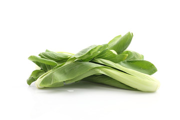 Chinese mustard green isolated in white background