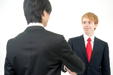 a businessperson shaking hands