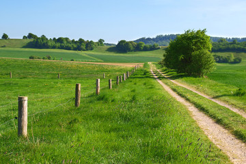 Feldflur