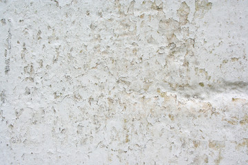 Fototapeta premium Plaster wall